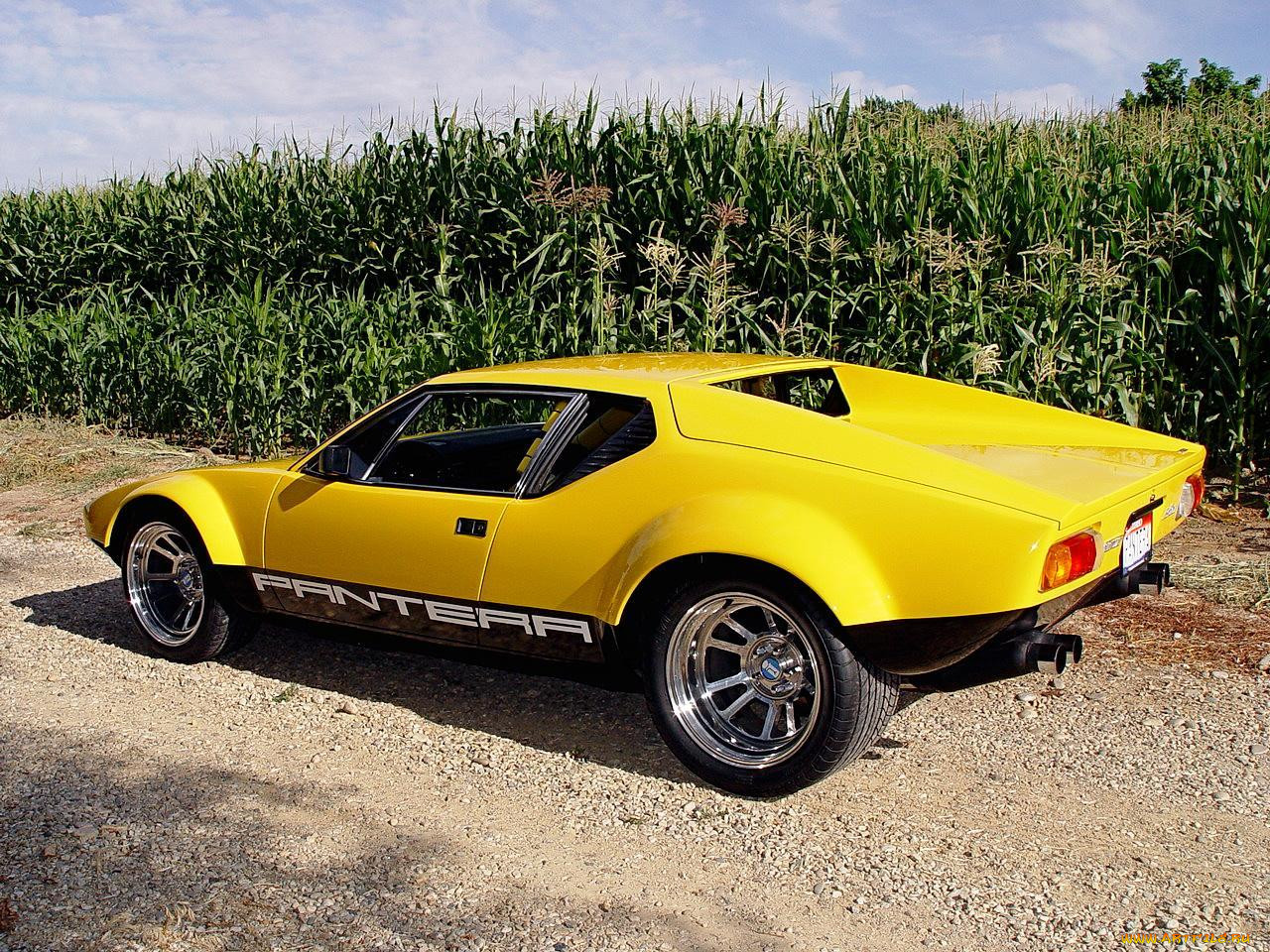 pantera, , de, tomaso